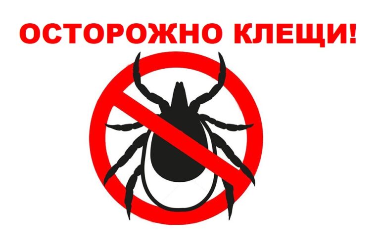 Клещи