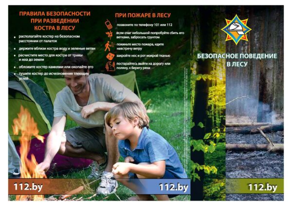 Buklet_Bezopasnoe_povedenie_v_lesu_izobrazheniya_0_szhatyy