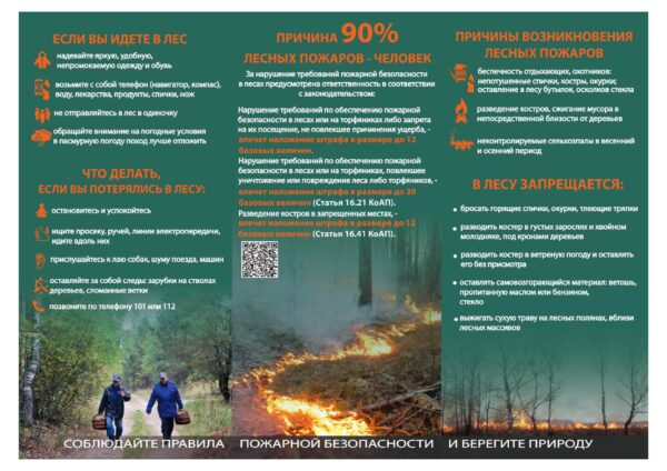 Buklet_Bezopasnoe_povedenie_v_lesu_izobrazheniya_1_szhatyy